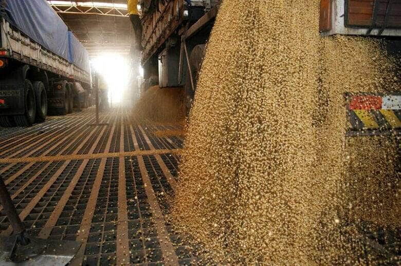 Esmagamento De Soja Em Mato Grosso Atinge Níveis Recordes Em Novembro 1 2025 word1
