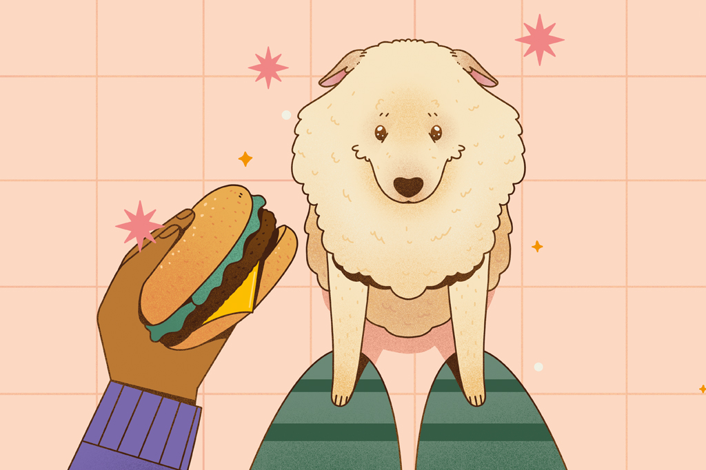 Si_482_Comunicação_Canina_1 Ilustração, vista de cima, de um cachorro de pelo marrom claro, apoiando suas patas nos joelhos de uma pessoa. Vê-se, também, um piso quadriculado e uma mão segurando um sanduíche.