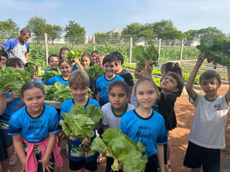 Horta Escolar Da Escola Prof 1 2025 word2