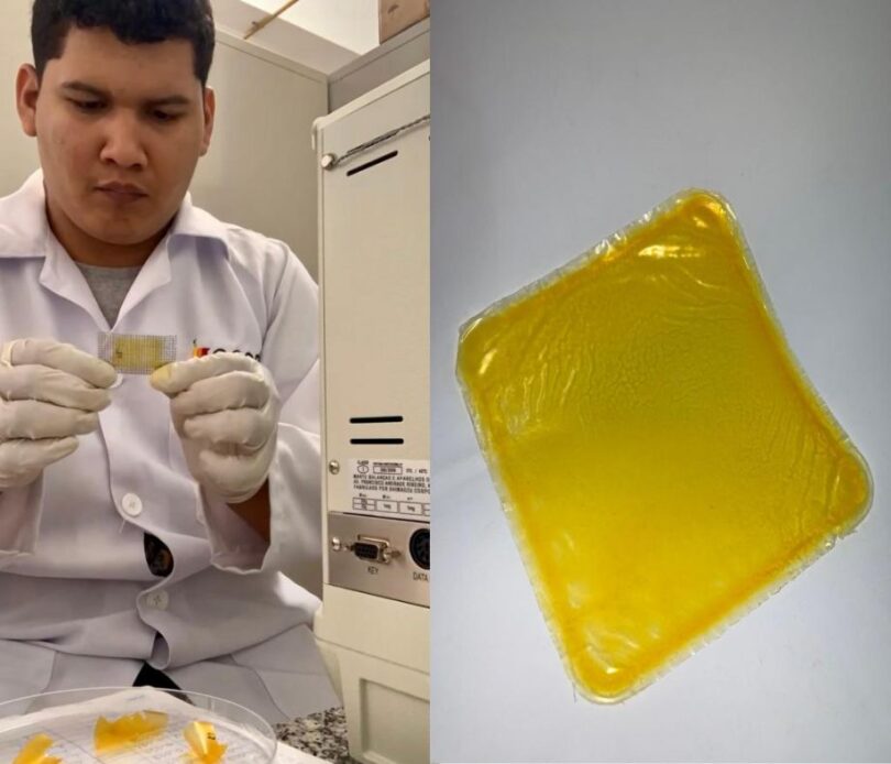 Pesquisa Da Ufmt Com Apoio Da Fapemat Cria Embalagem Biodegradável De Óleo De Pequi 1 2025 word2