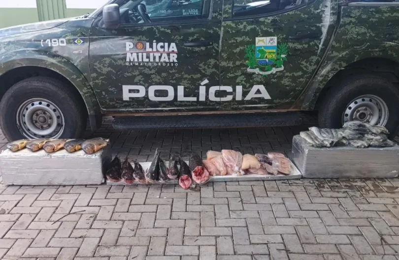 Polícia Militar Apreende 52 Kg De Pescado Ilegal Em Várzea Grande: Entenda A Ação 1 2025 word1