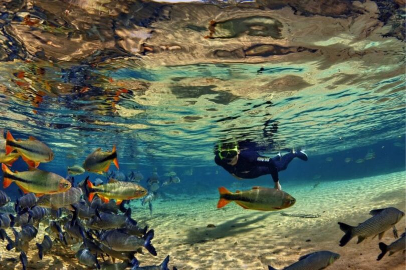 Bonito Lança Nova Plataforma Para Cobrança Da Taxa De Conservação Ambiental: Saiba Como Pagar 1 2025 word3