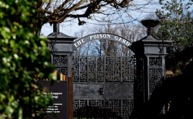 Descubra O Fascinante Jardim Venenoso De Alnwick: Beleza E Perigo Em Um Só Lugar 1 2025 word2