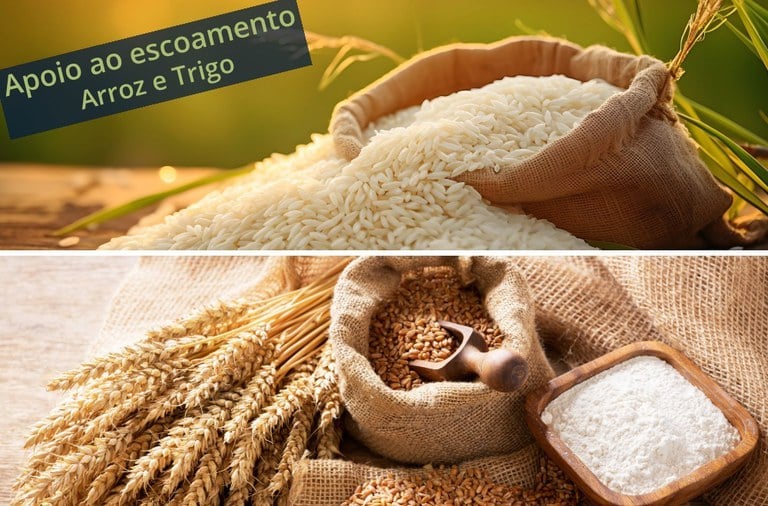 Leilões De Apoio Ao Escoamento De Arroz E Trigo Agendados Para 22 De Abril 1 2025 word1