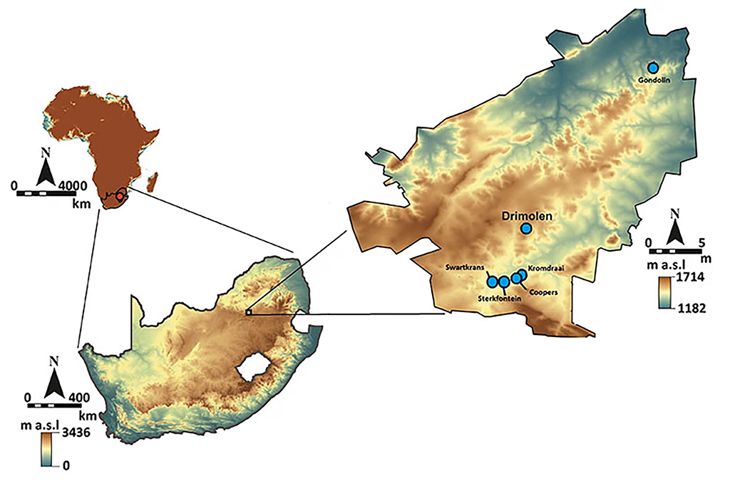 18121-Fóssil-Layout_Site2 Mapa mostrando o local onde Little Foot foi descoberto