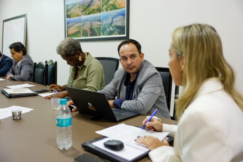 Câmara De Lucas Do Rio Verde: Comissões Permanentes Definidas Para 2026 1 2025 word2