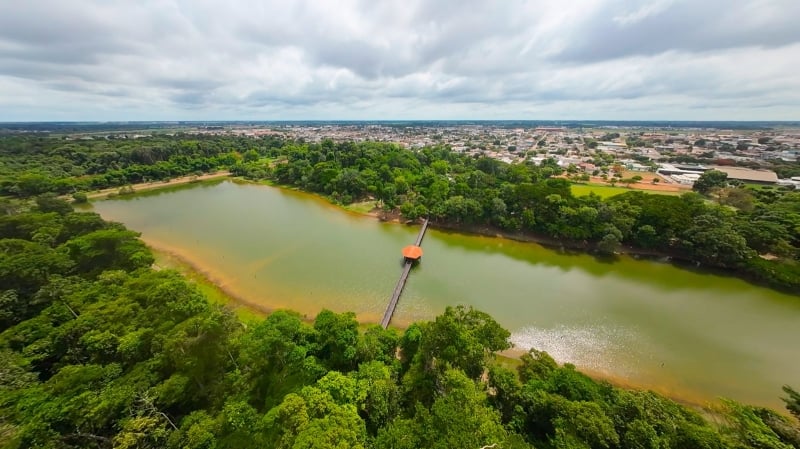 Sinop Investe Em Pesquisa De Morcegos E Integra Rede Internacional De Monitoramento Da Biodiversidade 1 2025 word2