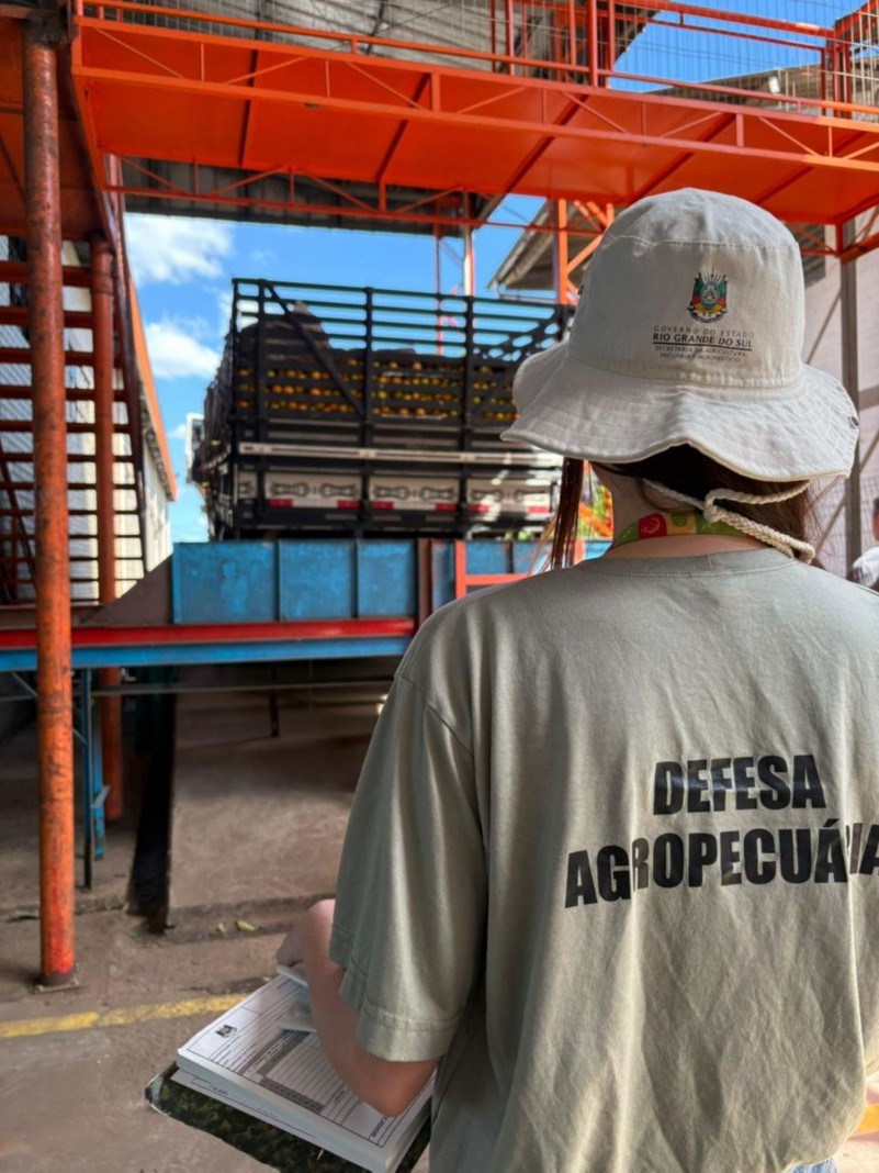 Secretaria Da Agricultura Em Ação Contra O Greening: Força-Tarefa Para Proteger O Estado 1 2025 word3