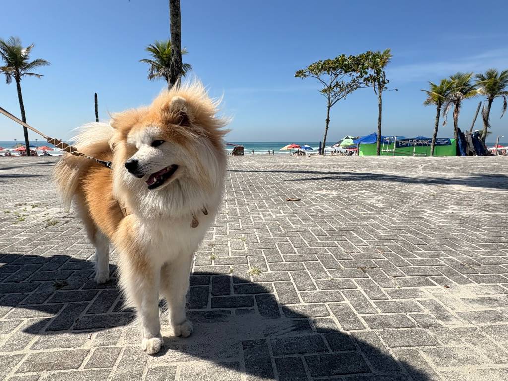 Praia da Enseada, Guarujá, São Paulo