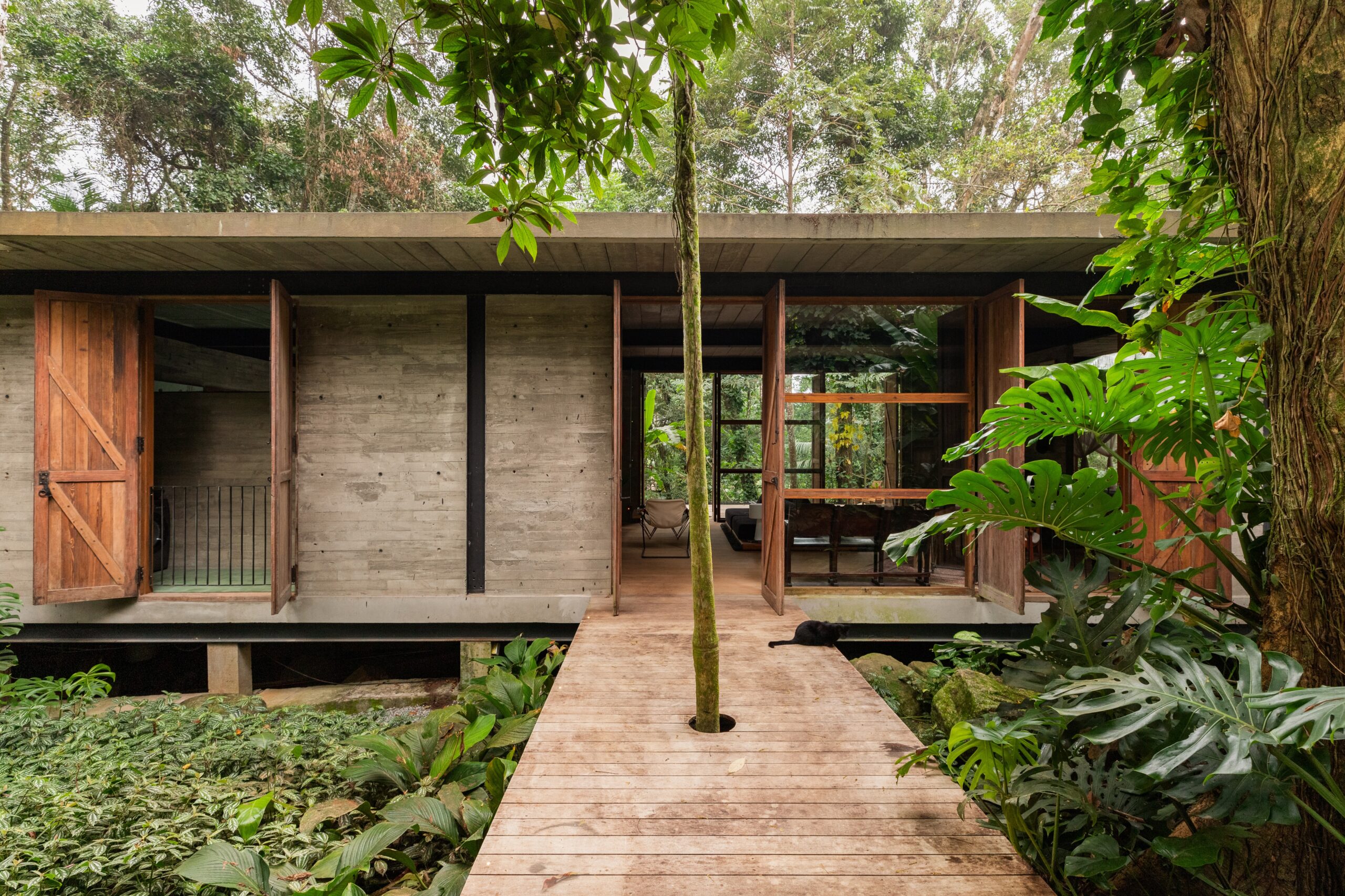 Deck suspenso entre árvores em Maresias, mostrando a implantação da casa elevada em palafitas na Mata Atlântica.