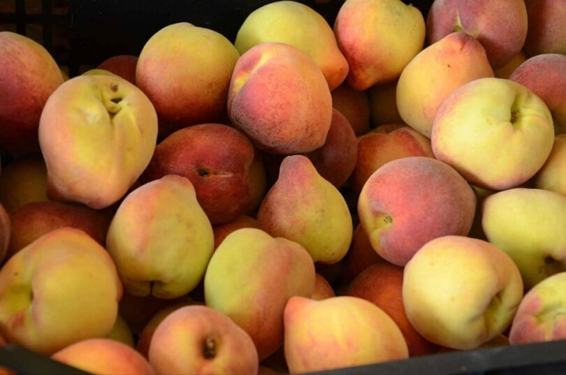 Conab Destina R$ 4 Milhões Para Compra De Pêssegos De Produtores No Rio Grande Do Sul 1 2025 word2