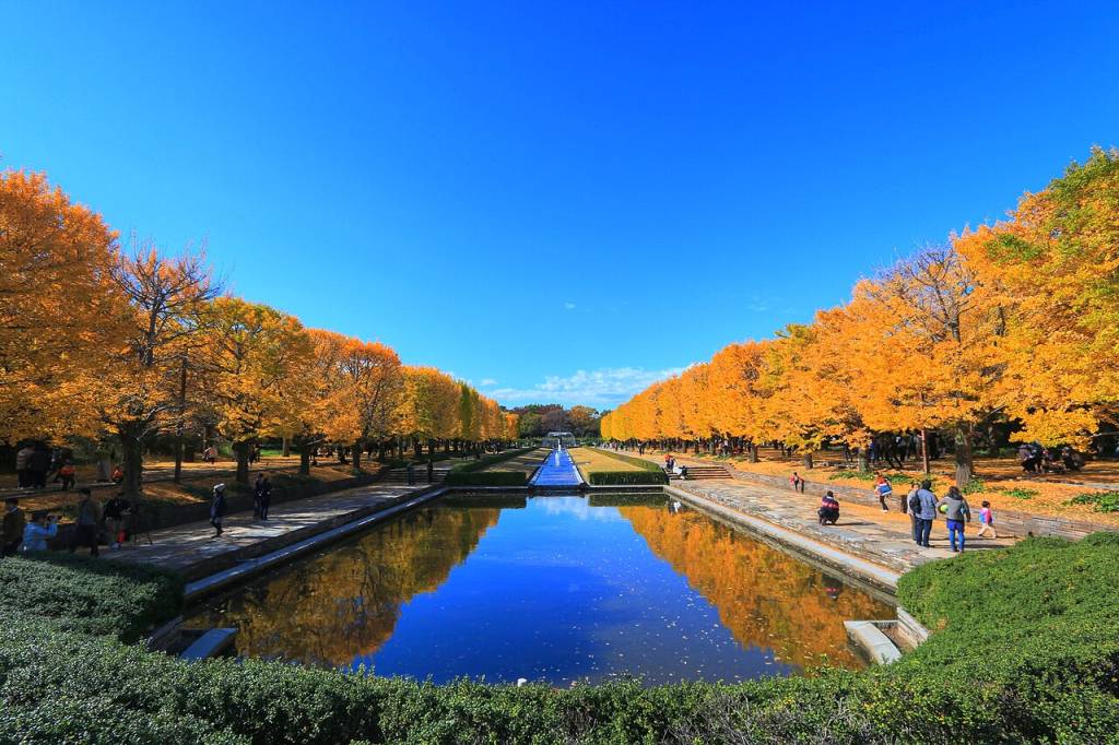 Showa-Memorial-Park-Japao showa-memorial-park-japao