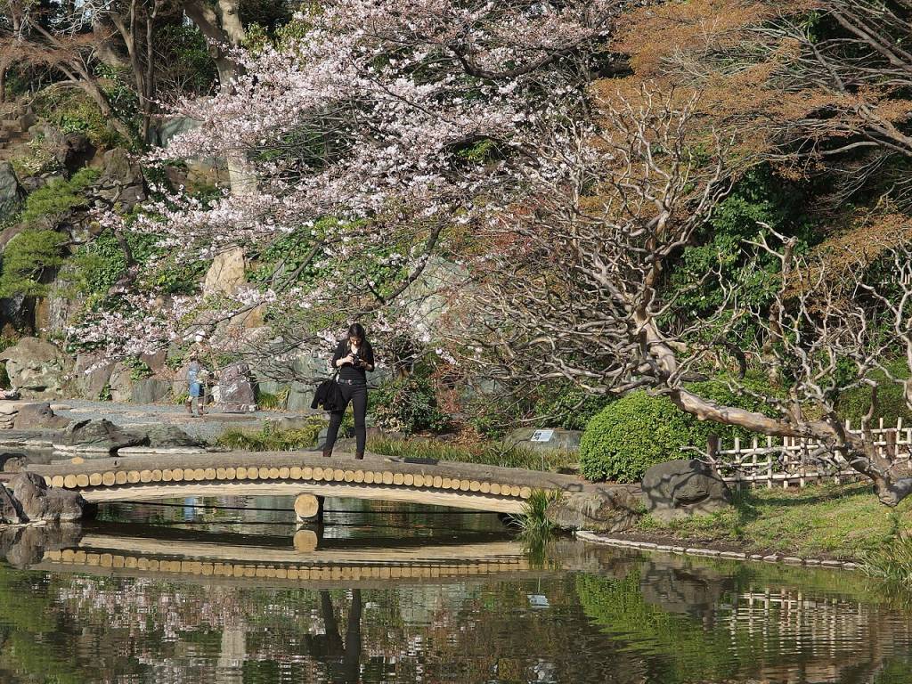 Jardim-Palacio-Imperial jardim-palacio-imperial