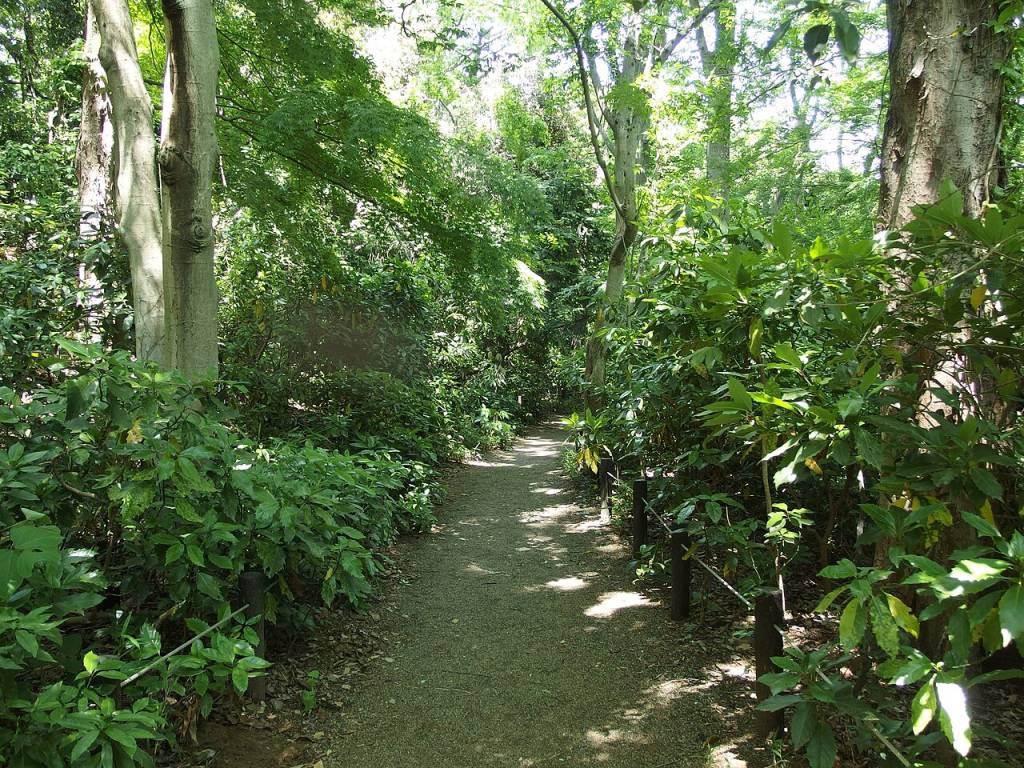 Institute-For-Nature-Study-Toquio institute-for-nature-study-toquio