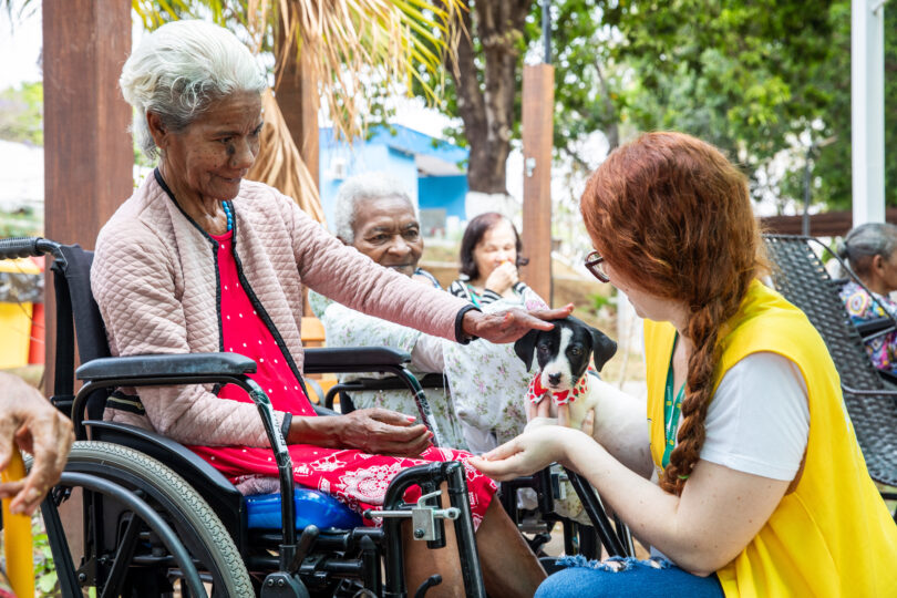 Cuiabá Promove Avanços Em Políticas De Adoção Responsável E Bem-Estar Animal 1 Arquivo