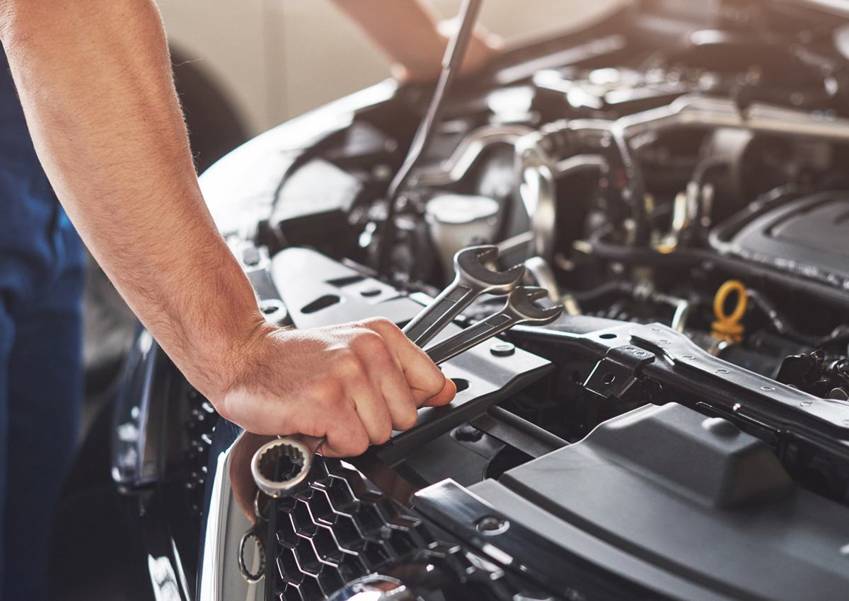 Revisão De Férias Revisão de férias