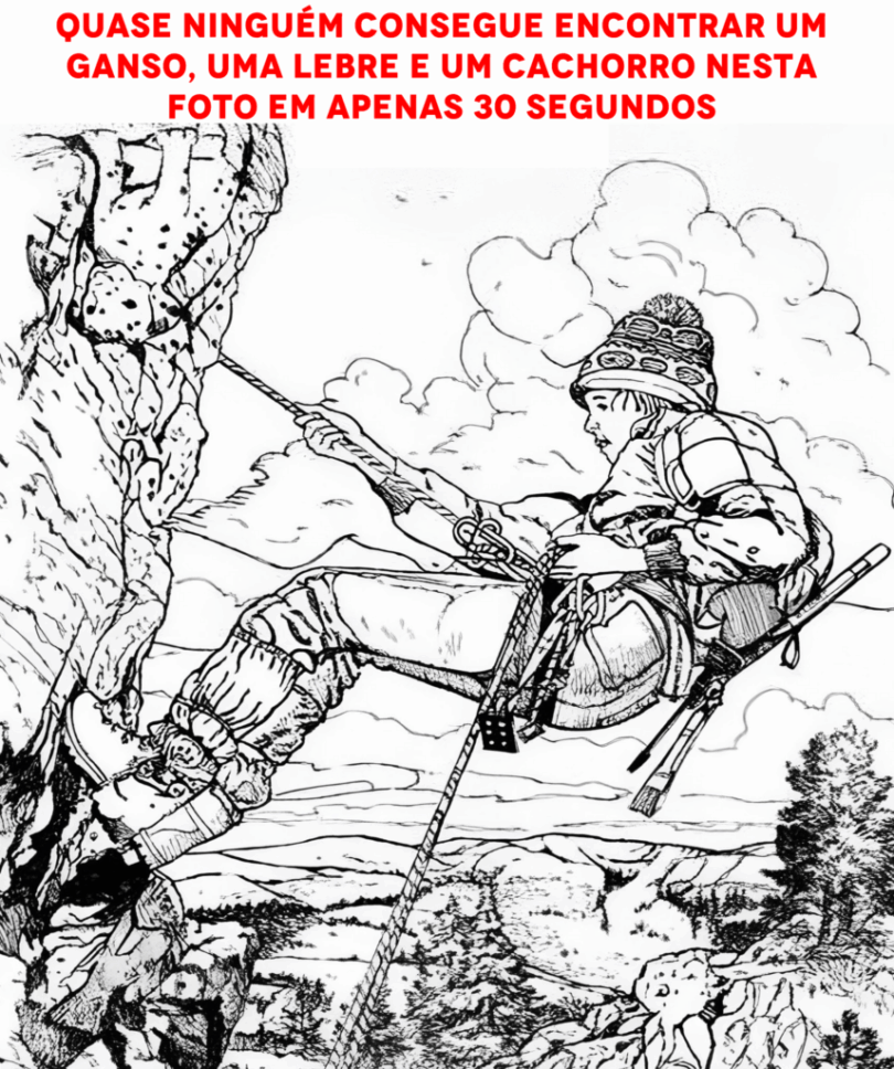 Desafio Visual: Encontre Os Animais Escondidos Em 30 Segundos 1 2025 word2