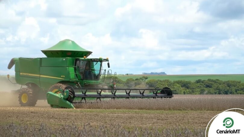 Soja 25/26 Mantém Bom Desempenho Inicial Em Mato Grosso Apesar Do Calor Intenso 1 2025 word2