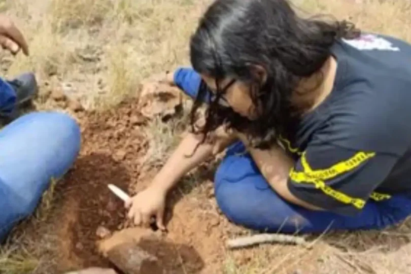 Explorando Fósseis De Dinossauros Na Chapada Dos Guimarães: Estudantes Se Aproximam Da Pesquisa Científica 1 2025 word3