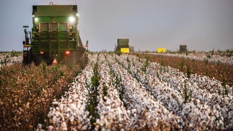 Como Simplificação Tributária Impacta Negativamente O Trabalho E Os Custos Do Produtor Rural 1 2025 word3