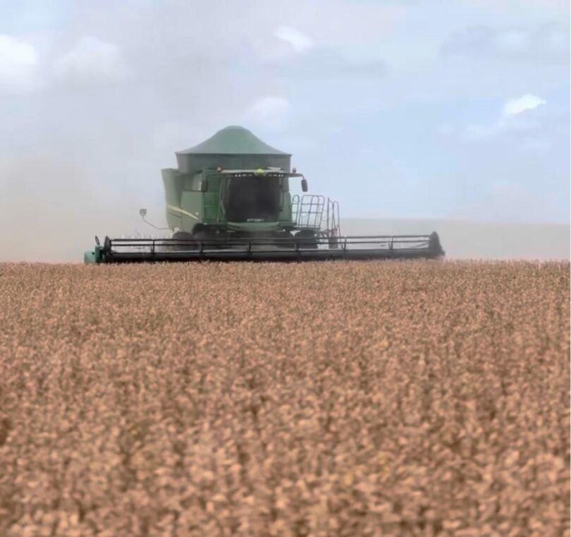 Produtores De Lucas Do Rio Verde Iniciam Colheita Da Soja 25/26 Com Expectativas Positivas 1 2026 word2