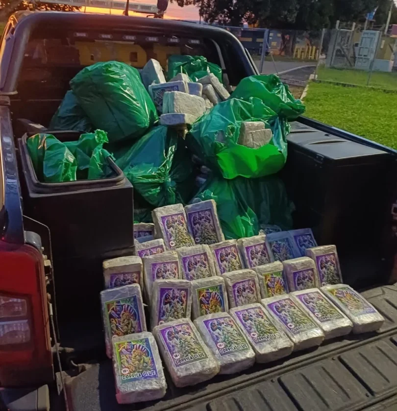 Prf Apreende 293 Kg De Skunk Em Rondonópolis Mt: Confira Detalhes Da Apreensão Na Br-364 1 2026 word3