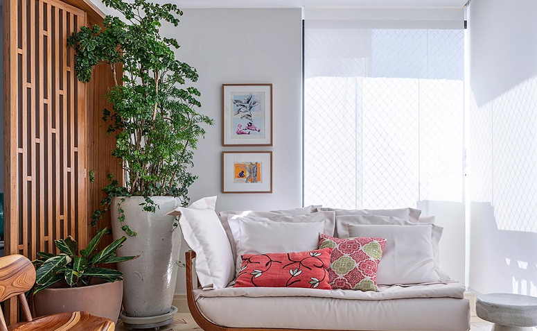 árvore-da-felicidade macho e fêmea cultivadas juntas para fortalecer a harmonia do lar.