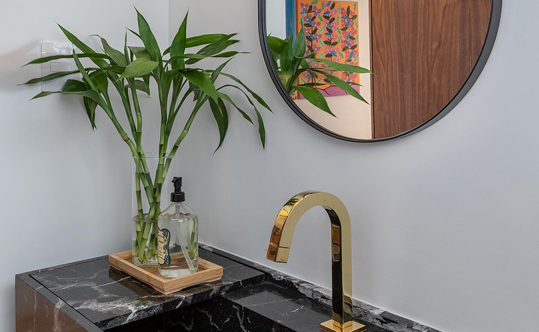 bambu-da-sorte em vaso de vidro representando vitalidade e boa sorte.