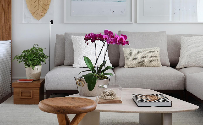 orquídea decorando ambiente interno e elevando a energia com delicadeza.