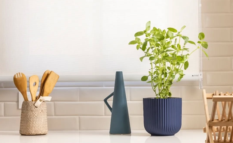 manjericão em vaso na cozinha ativando prosperidade e vitalidade.