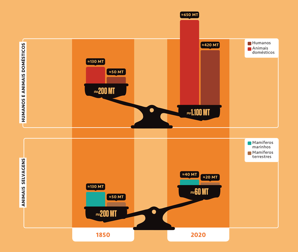 Si_482_Oráculo_Gráfico_Mamíferos_1 Gráfico, em fundo salmão, com dados sobre os peso dos mamíferos sobre o Planeta Terra.