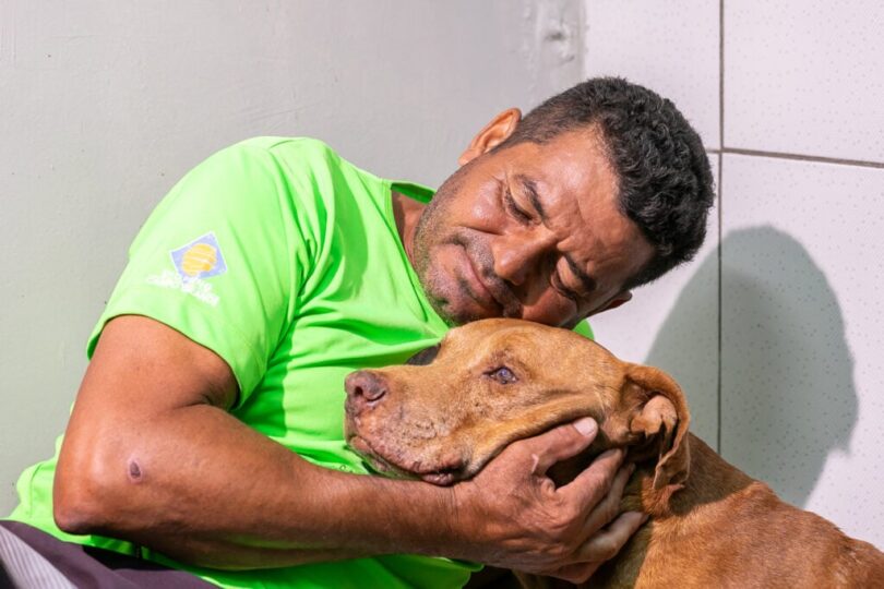 Cão Vivente Recebendo Cuidados Em Cuiabá Após Ser Enterrado Vivo: Aguarda Por Adoção 1 2026 word3