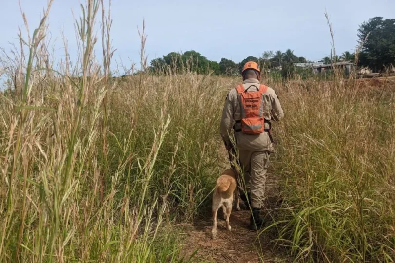 Bombeiros Procuram Homem Desaparecido Em Mata De Nova Mutum: Saiba Mais Sobre O Resgate 1 2026 word3