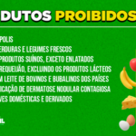 2A123E77-78Be-4982-91D2-03Ef16Bac75B-150X150-1 2026 word2