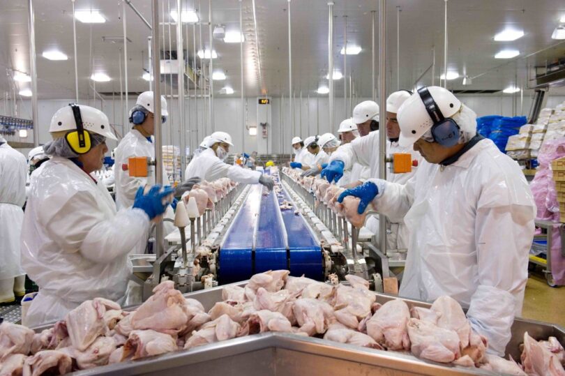 Exportações De Frango Atingem Recorde Em 2025, Apesar Da Gripe Aviária: Saiba Mais! 1 2026 word1