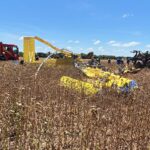 Whatsapp-Image-2026-01-09-At-10-47-00-150X150-1 2026 word1