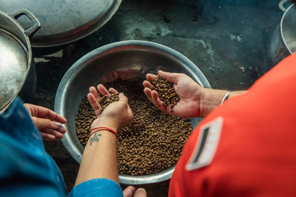 Coffee Experience, Achiote, Colón Province, Panamá café panama