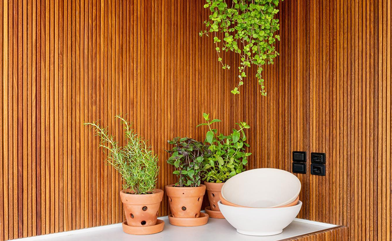 Vasos de barro com ervas aromáticas em bancada interna, ilustrando cuidados de rega e diferentes tipos de vasos.