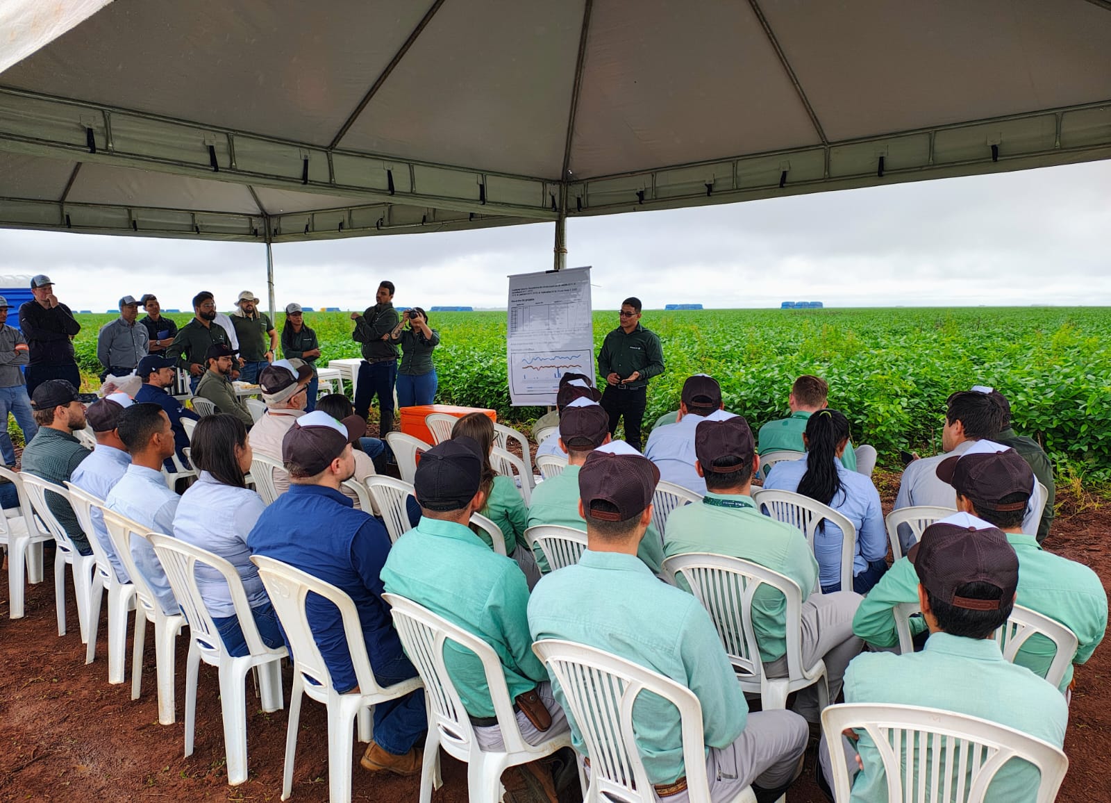 Safra 25/26 em campo: Fundação MT leva conhecimento técnico e imparcial em rodadas por diferentes regiões de Mato Grosso