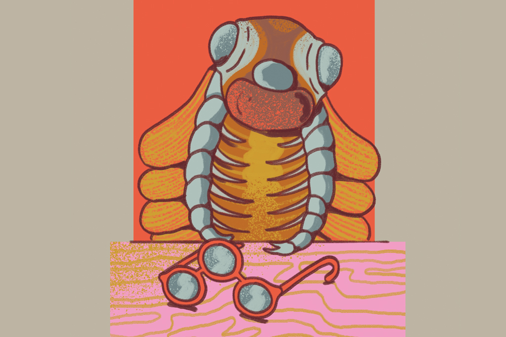 Ilustração, em fundo areia, de animal do período cambriano com três olhos. A frente, vê-se um óculos de três lentes.