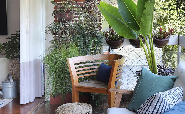 plantas para varanda no verão em jardim vertical, vasos e plantas pendentes.