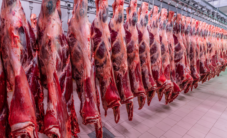 Vietnã Autoriza Quatro Novos Frigoríficos Brasileiros Para Exportar Carne Bovina: Saiba Mais! 1 2026 word1