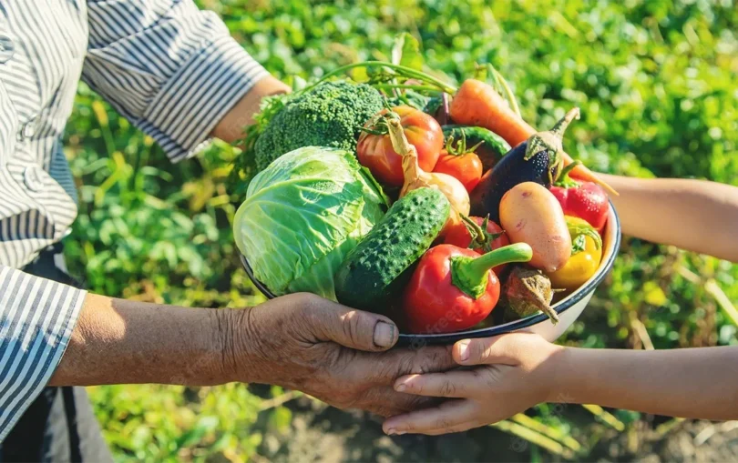 Ações Para Fortalecer Segurança Alimentar E Agricultura Familiar: Qual Sua Importância? 1 2026 word2