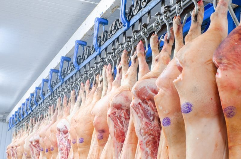 Acordo Ue-Mercosul Impulsiona Exportações De Carne Suína Brasileira 1 2026 word2