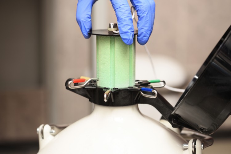 Congelamento-De-Ovulos-2 Foto de mão com luva azul congelando óvulos, colocando tubo verde em congelador