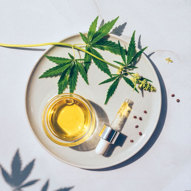 Canabidiol-Cannabis-1 A imagem mostra uma folha de cannabis sobre um prato, ao lado de um frasco com óleo dourado e uma pipeta. Sementes estão espalhadas no prato, criando um tema natural e medicinal, refletindo o uso de extratos da planta.