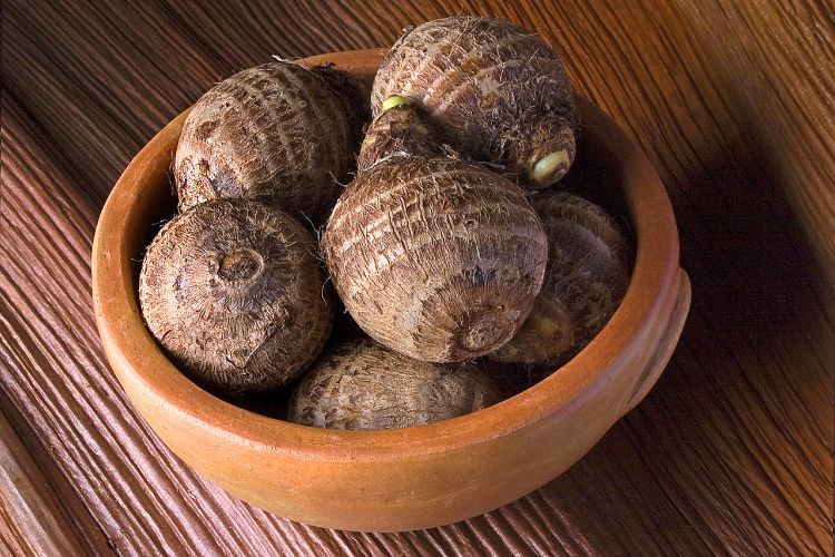 Beneficios-Do-Inhame-Para-A-Saude-3 Inhames em uma bandeja de barro sob superfície folhosa