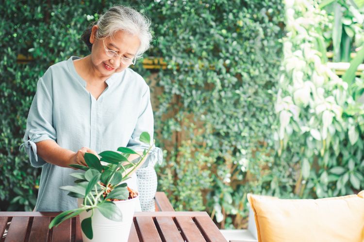 Longevidade-Natureza Mulher idosa de camisa clara cuidando de planta em vaso branco, com muro de plantas atrás