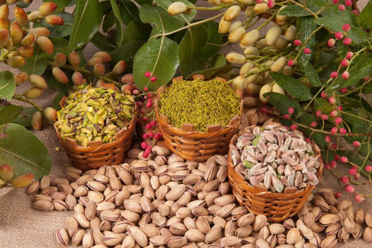 Pistache-Tudo-Sobre-Noz-2 Processo do pistáchio: desde o crescimento da noz na árvore, na casca e depois cortado, triturado e torrado