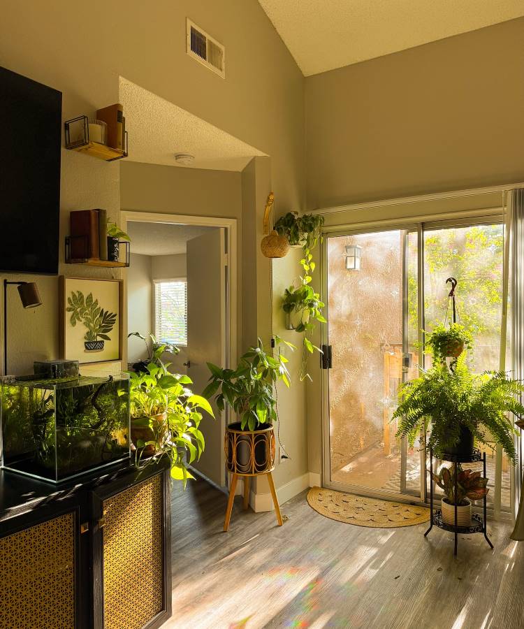 Plantas-Pendentes-12 Uma sala iluminada pelo sol, repleta de plantas em vasos e penduradas, criando uma atmosfera natural. Um aquário brilha próximo à TV, e uma porta de vidro revela uma área externa, convidando a luz e a natureza para dentro.